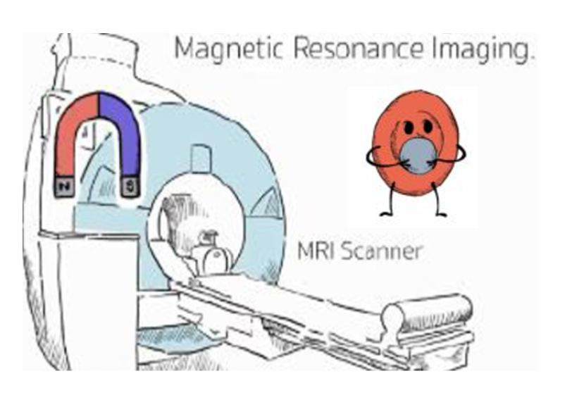 Understanding MRI – Outstanding Public Engagement Project 2021